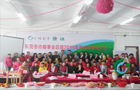 2015年巾帼创业家庭服务有限公司年度表彰大会 2015年巾帼创业家庭服务有限公司年度表彰大会
